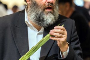 לולב